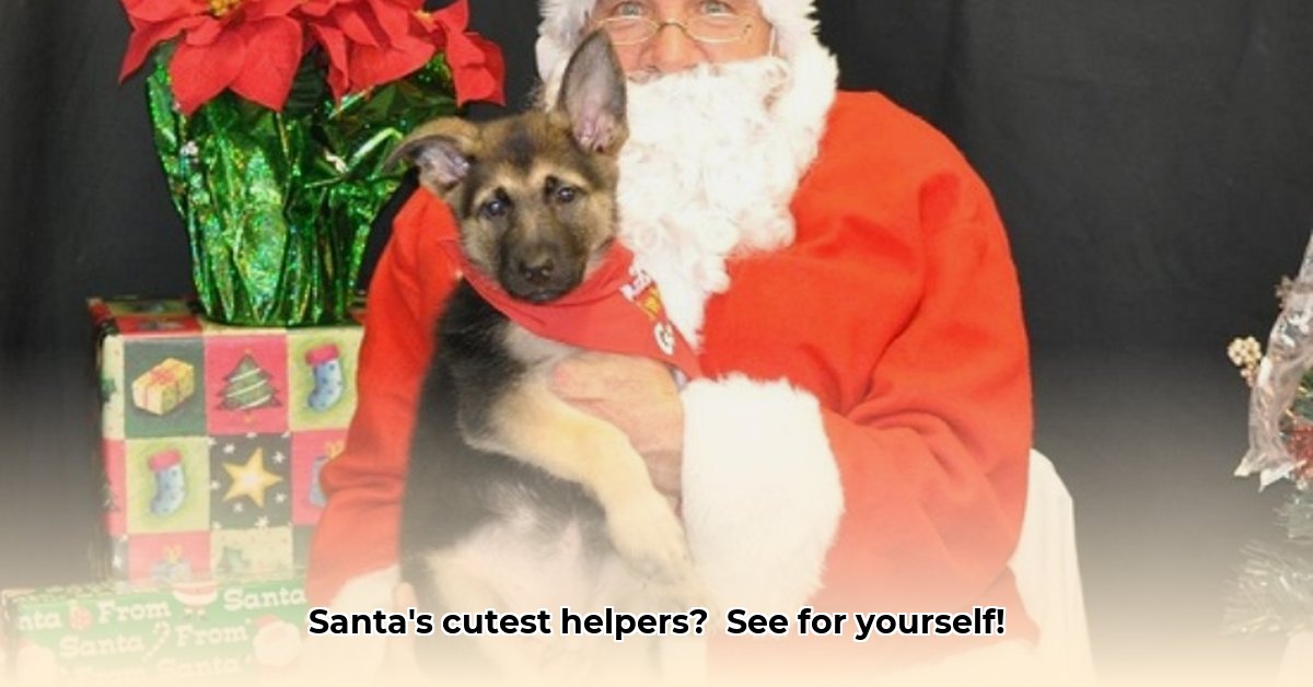 tractor-supply-pictures-with-santa